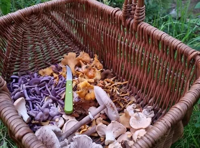 Au Vieux Lavoir Alle